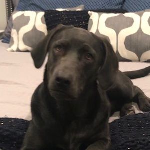 Meet your Posher, Suzanne